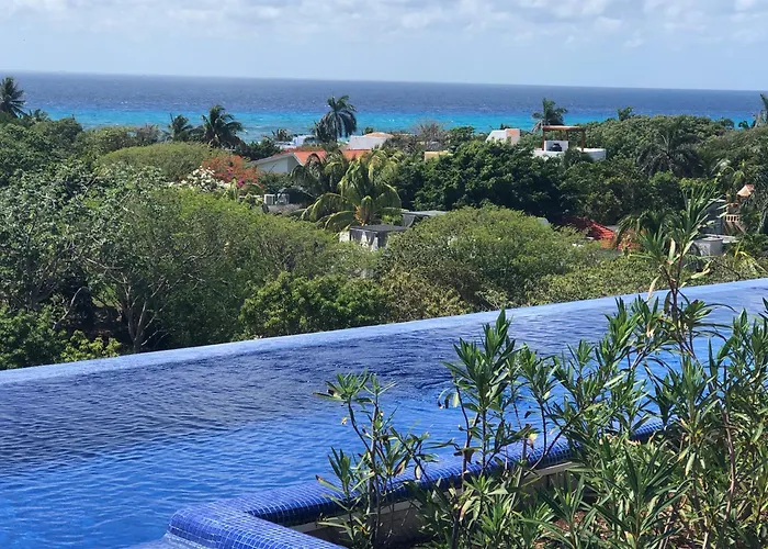 Ocean View Pool In Exclusive Playacar, En-suite